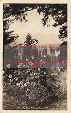 CA, McCloud, California, RPPC, Mount Shasta Through Trees, 1928 PM, Photo for sale  Shipping to South Africa