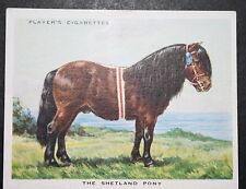 Shetland pony vintage for sale  Shipping to Ireland