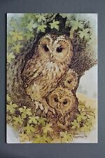 Postcard tawny owl for sale  SHEFFIELD