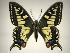 Small papilio machaon for sale  Shipping to Ireland