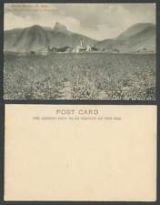 Molino de azúcar y campo de algodón St. Kitts Mount Misery en primer plano antigua postal de la UB segunda mano  Embacar hacia Argentina