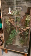 Terrarium verre d'occasion  Lens