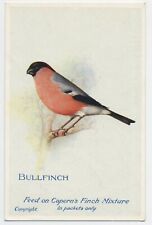 Bullfinch vintage calpern for sale  WORKINGTON