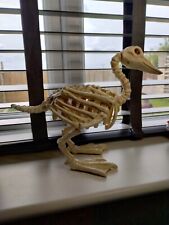 Duck skeleton halloween for sale  MEXBOROUGH