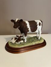 Ayrshire cow calf for sale  SANDBACH