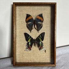 Vintage wall butterflies for sale  Shipping to Ireland