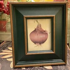 Onion art work for sale  Casselberry