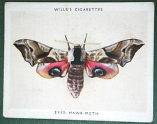 Eyed hawk moth for sale  DERBY