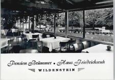 50681747 7188 wildenstein gebraucht kaufen  Deutschland