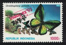 Indonesia goliath birdwing for sale  UK