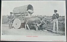 1900 - Carro Sardo segunda mano  Embacar hacia Argentina