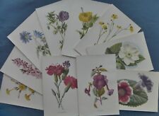 Antique botanical prints for sale  BRISTOL