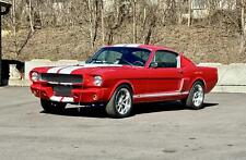 mustang fastback for sale  Cleves