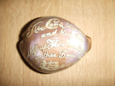 Antique carved cowrie for sale  MANCHESTER