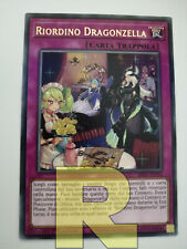 Riordino dragonzella dragonmai usato  Ravenna