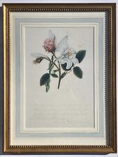 Antique botanical french for sale  Griffin