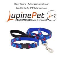 Lupine lifetime dog for sale  Rio Rancho