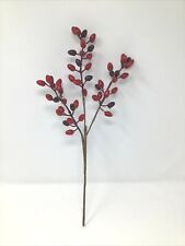 Cranberry floral pick for sale  Novi