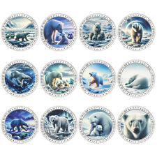 Usado, Moneda conmemorativa del oso polar Ursus Maritimus enchapada en plata desafío regalos de monedas segunda mano  Embacar hacia Argentina