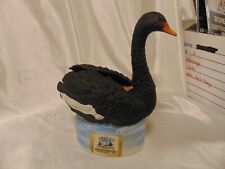 australian black swans for sale  Highland