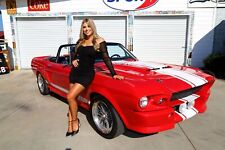 1967 ford mustang for sale  Maryville