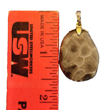Polished Petoskey Stone Pendant-Very Nice! for sale  Shipping to South Africa