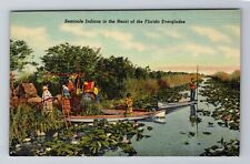 Everglades florida seminole for sale  USA