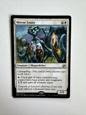 Mirror entity 026 gebraucht kaufen  Extertal