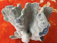 blue ridge coral for sale  Stuart