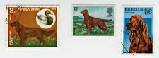 IRISH SETTER COLLECTION OF  DOG POSTAGE STAMPS FROM VARIOUS COUNTRIES for sale  Shipping to South Africa
