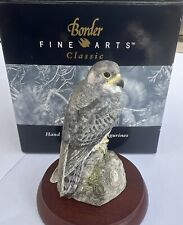 peregrine falcon for sale  PEEBLES