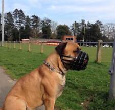Leather dog muzzle for sale  BLACKBURN