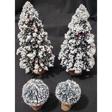 Evergreen trees berries for sale  Taylor