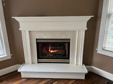 Gas fireplace insert for sale  Collingswood