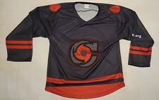 Cincinnati cyclones hockey for sale  Loveland