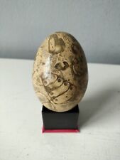 Fossil stone egg for sale  OKEHAMPTON