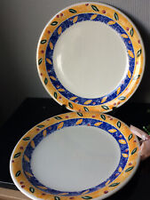 Large dinner plate for sale  LONDON
