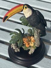Toucan country artists for sale  WAREHAM