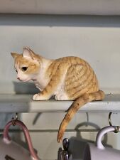 ginger tabby for sale  BUNGAY