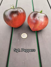 Tomatensamen sgt pepper gebraucht kaufen  Saalfeld/Saale