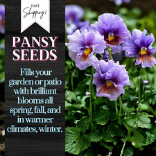 Packet pansy seeds for sale  Meridian