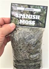 Spanish Moss Florida Fresh Picked for sale  Lake City