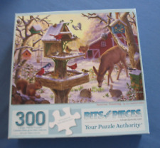 300 piece jigsaw for sale  Mattapoisett
