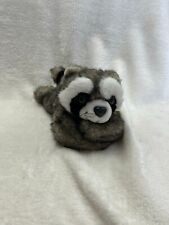 Wild wonder raccoon for sale  WATFORD