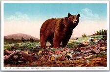 Park bear yellowstone for sale  Boiling Springs