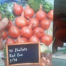 Shallots onions red for sale  SHIPLEY