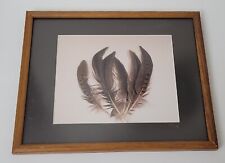Feather art picture for sale  Las Vegas