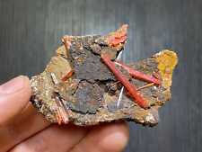 Used, Lustrous Red/Orange Crocoite crystals from the Red Lead Mine in Tasmania for sale  Shipping to South Africa