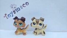 Original LPS Littlest Pet Shop Collie #2210 + #58 patas DAÑADAS segunda mano  Embacar hacia Argentina