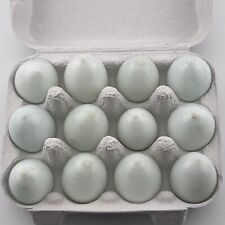 12 antiguos vasos de leche soplados a mano huevos de anidación codorniz o paloma talla 1,5" segunda mano  Embacar hacia Argentina
